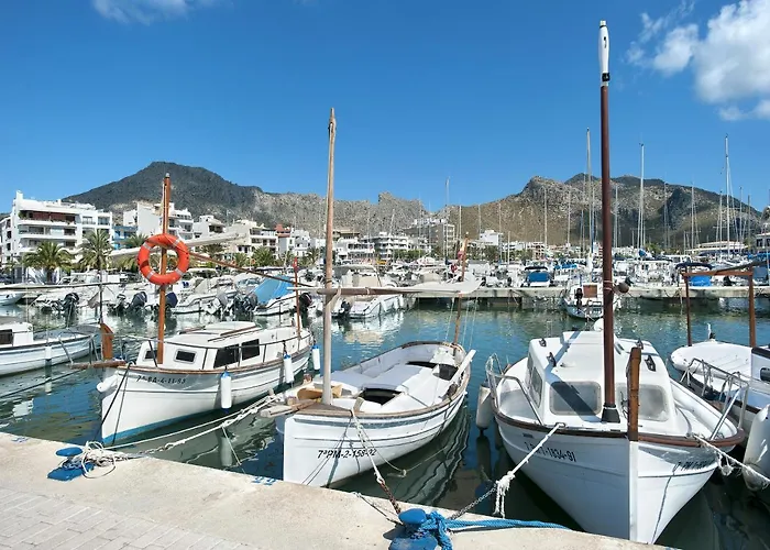 فيلة Owl Francesc - Family And Friends *