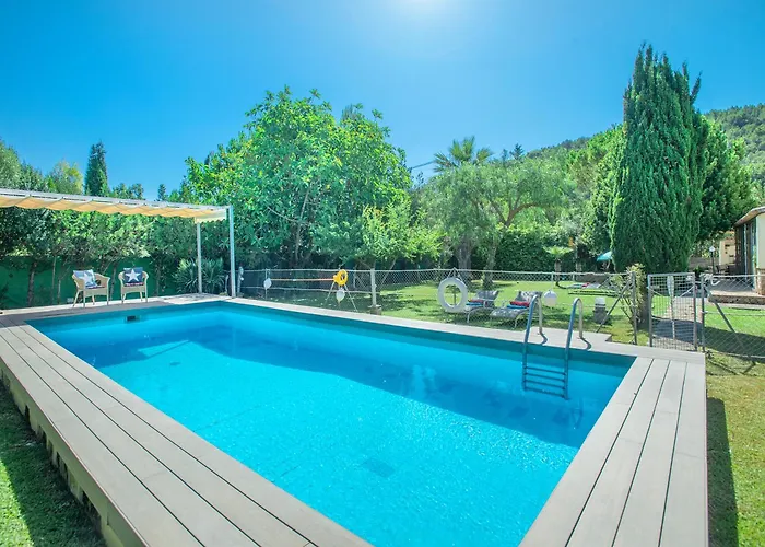 Owl Francesc - Family And Friends فيلة