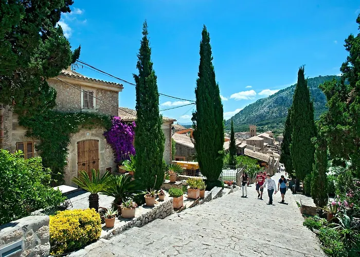 Owl Francesc - Family And Friends فيلة بورت دي بوينسا