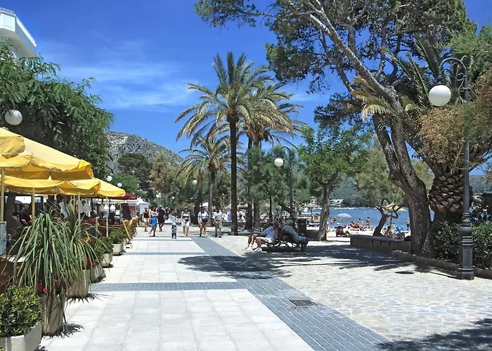 Owl Francesc - Family And Friends *