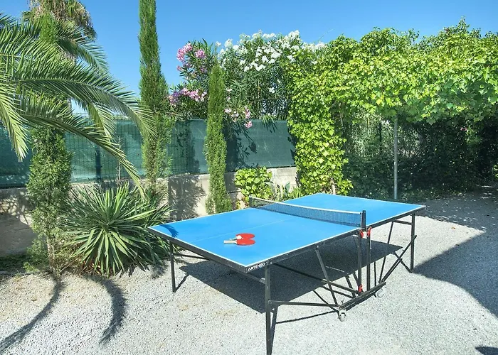 Owl Francesc - Family And Friends