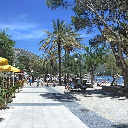 Owl Francesc - Family And Friends *