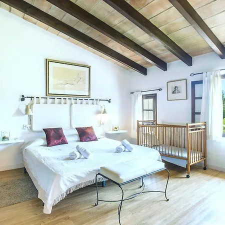 Owl Francesc - Family And Friends * Port de Pollença