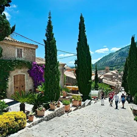 Owl Francesc - Family&friends Villa Port de Pollença