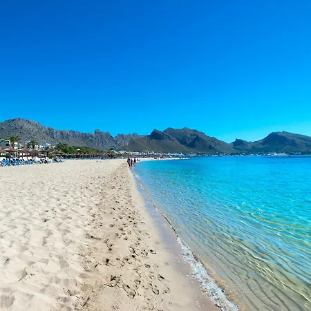 Owl Francesc - Family&friends *