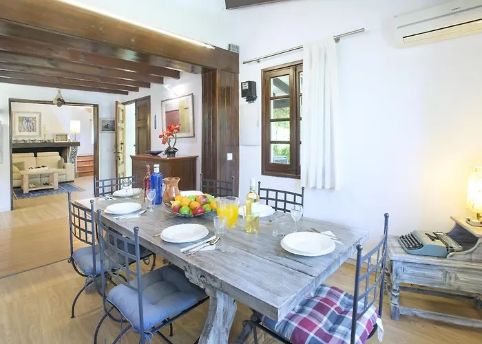 Owl Francesc - Family And Friends