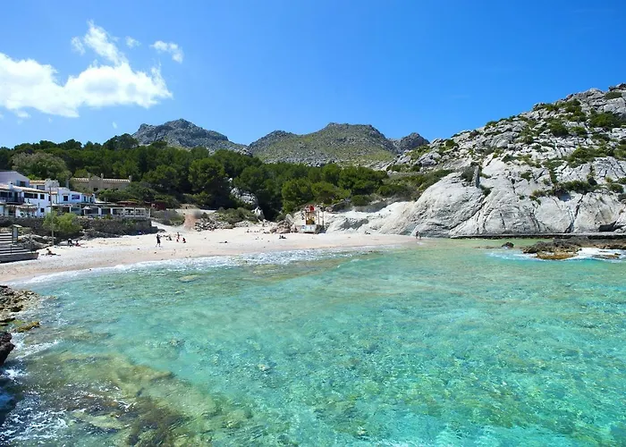 Owl Francesc - Family And Friends * 波连萨港