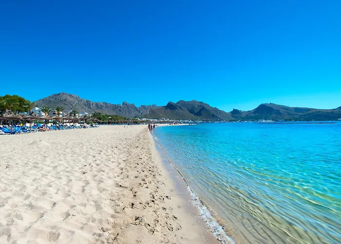 Owl Francesc - Family And Friends *