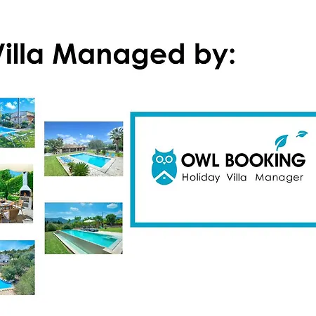 Owl Francesc - Family And Friends *